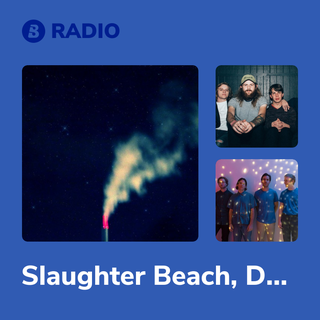 Slaughter Beach, Dog Radio