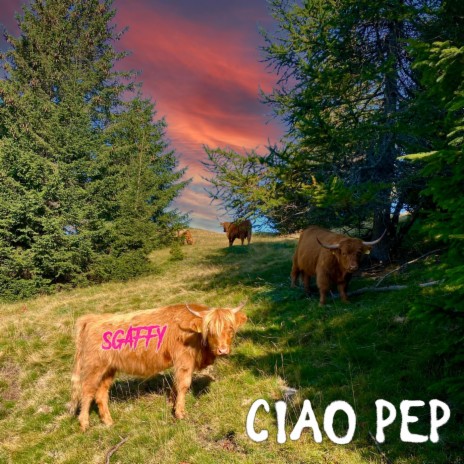 Ciao Pep