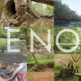 Eno