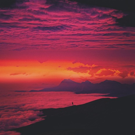 What you see cover art