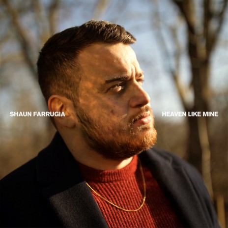 Heaven Like Mine cover art
