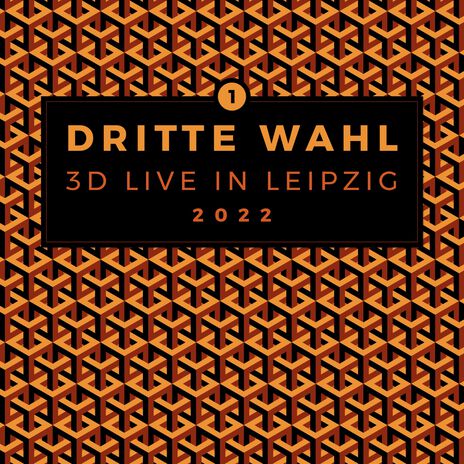 Was zur Hölle (Live in Leipzig 2022) cover art