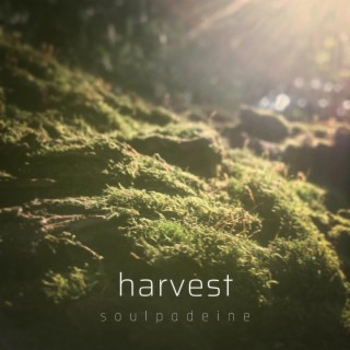 Soulpadeine
