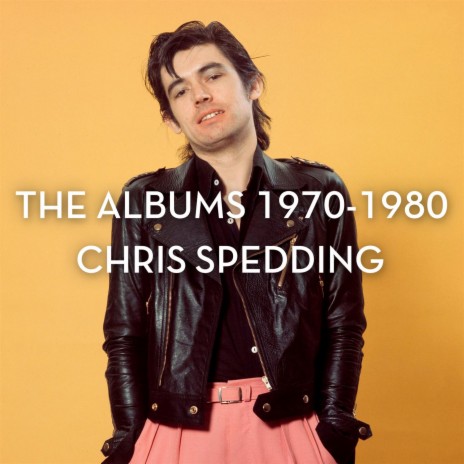 New Song of Experience cover art