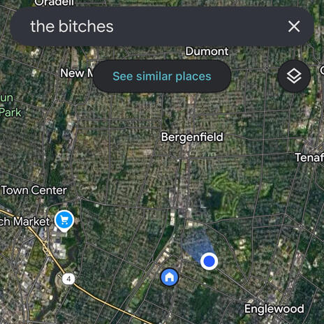 GoogleMaps