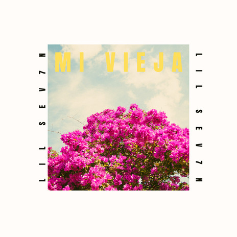 Mi Vieja cover art