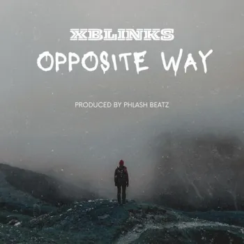 Opposite way cover art