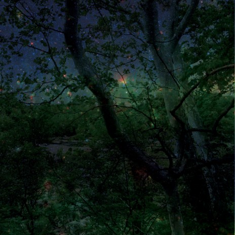 Stargazing cover art