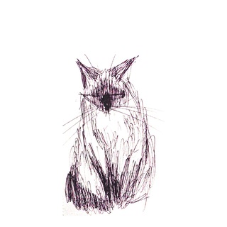 Cesar cover art