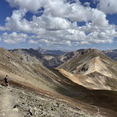 Colorado cover art