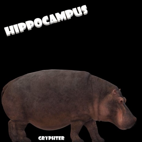 Hippocampus