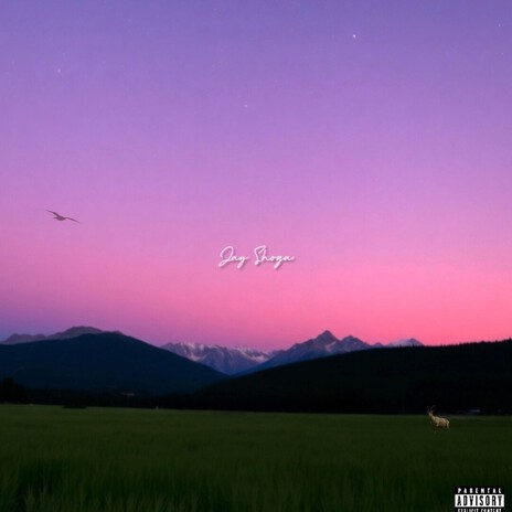 PiZza §høp ft. GFourglock cover art