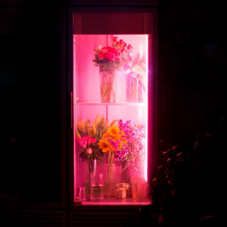 Dreaming of you (Feat. Kim Sawol) cover art