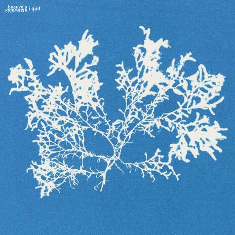 i quit ft. Beauvois cover art