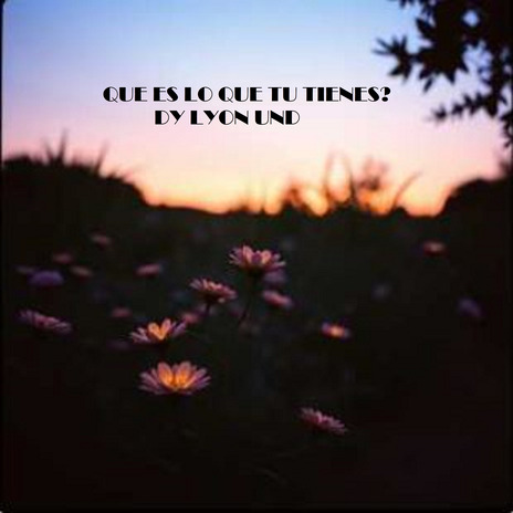 QUE ES LO QUE TU TIENES? cover art