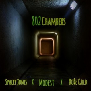 802 Chambers ft. Modest & Ro$e Gold