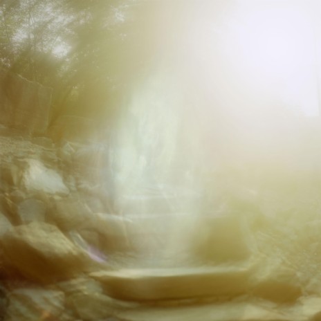Thicket cover art