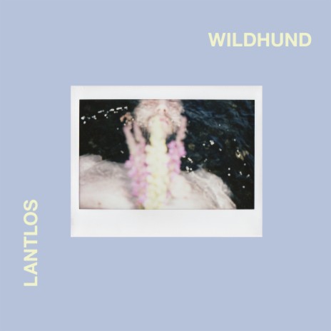 Dog in the Wild cover art