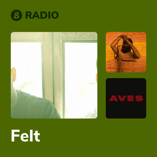Felt Radio