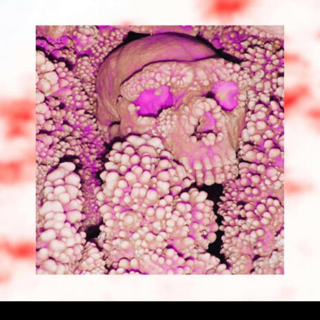 Suspended animation ft. LilJMula cover art