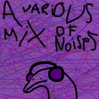 A Various Mix Of Noises