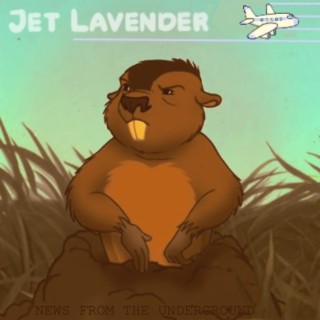 jet lavender