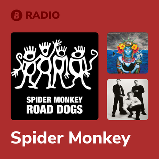 Spider Monkey Radio