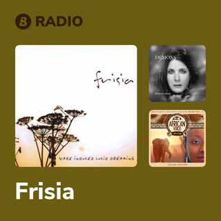Frisia Radio
