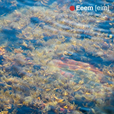 Shore I (The Land) cover art