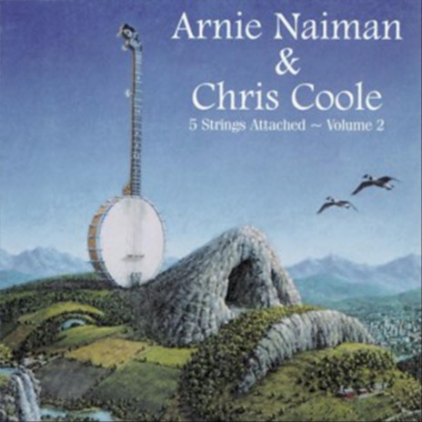 Tough Luck Blues ft. Arnie Naiman cover art