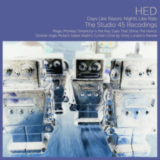 Days Like Razors, Nights Like Rats: The Studio 45 Recordings
