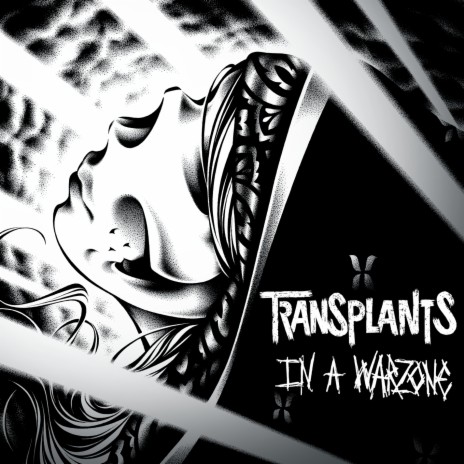 In A Warzone cover art