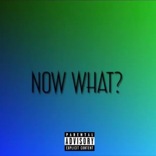 Now What? cover art