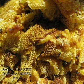 Honeycomb ft. Louie Fernandez cover art