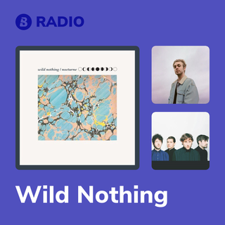 Wild Nothing Radio