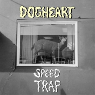 Dogheart