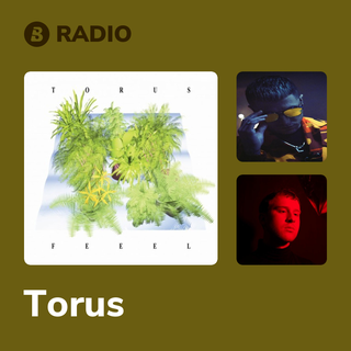 Torus Radio