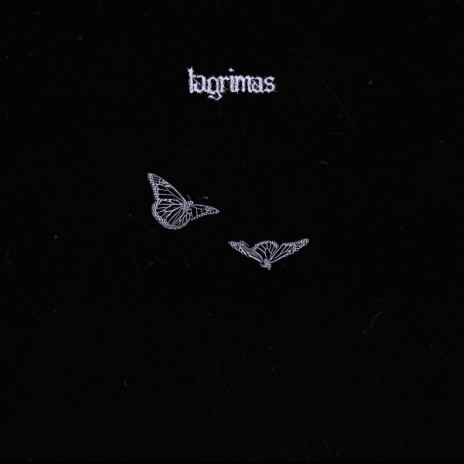 standards cover art