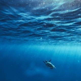 Sea ft. Kyoto Sound & Pryces cover art