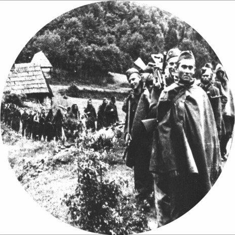 Jugoslovensko Kolo (Tool Mix) cover art