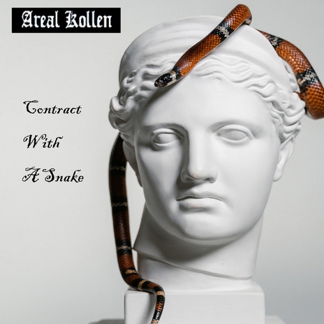 Bullied cover art