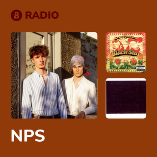 NPS Radio