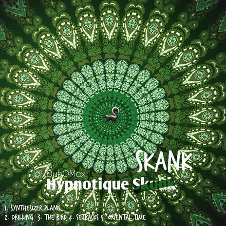 Synthesizer Plane cover art