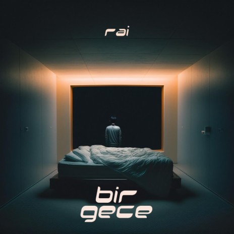 Bir Gece cover art