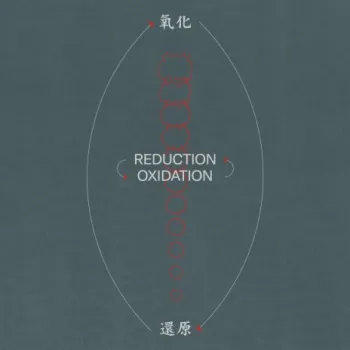 Kick in cover art