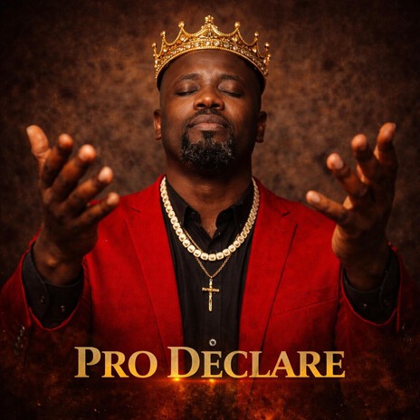 Pro Declare cover art
