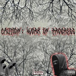 Caution: Work In Progress