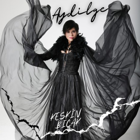 Keskin Bıçak cover art