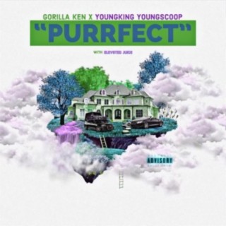 Purrfect ft. YoungKing YoungScoop cover art