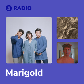 Marigold Radio